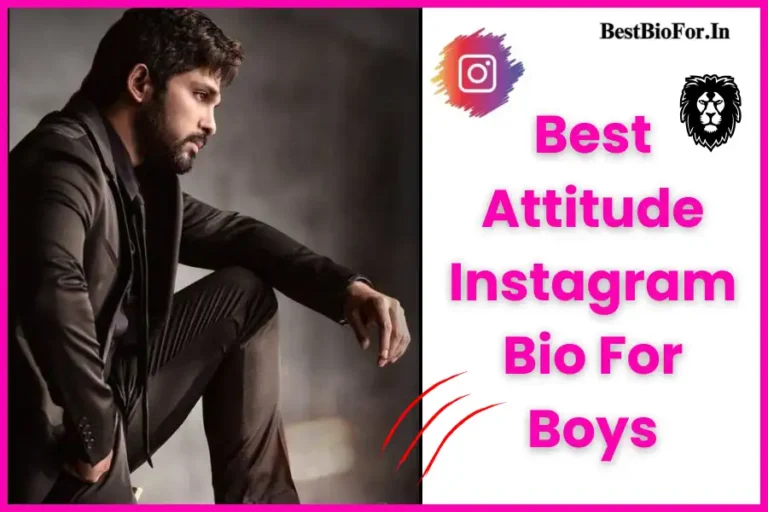 Attitude Instagram Bio For Boys