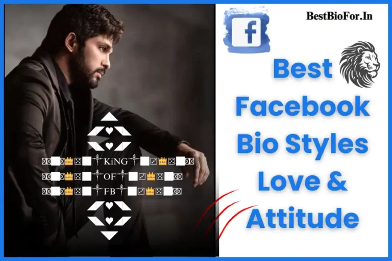 Best Facebook Bio Styles (Love & Attitude)