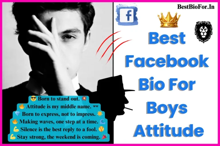 Facebook Bio For Boys Attitude