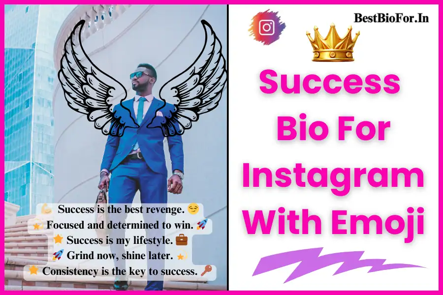 Success Bio For Instagram with Emoji