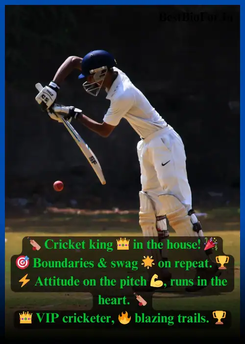 Unique Instagram Bio For Cricket Fans