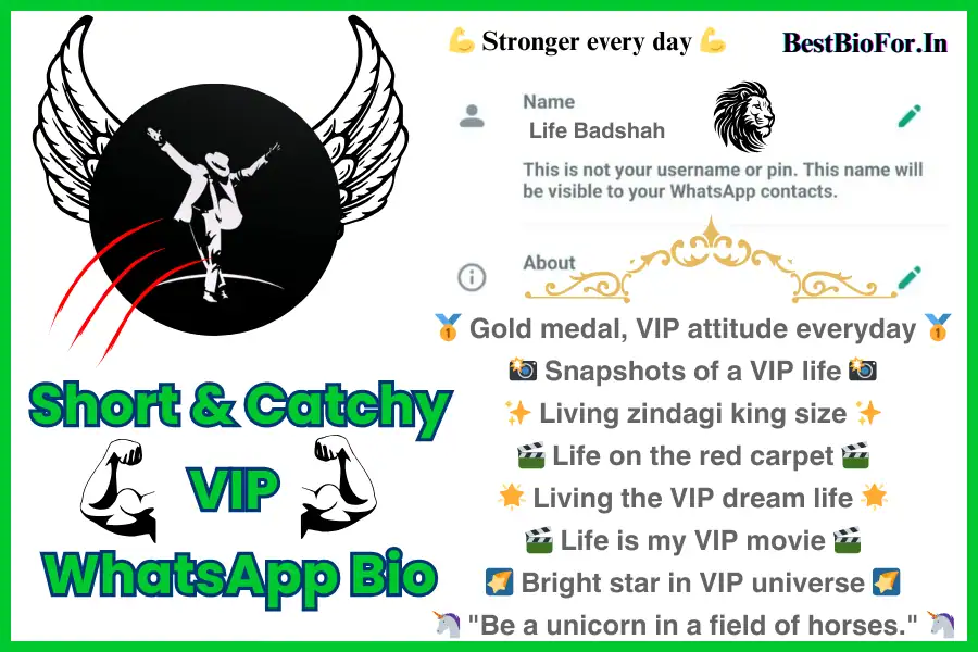 VIP WhatsApp Bio