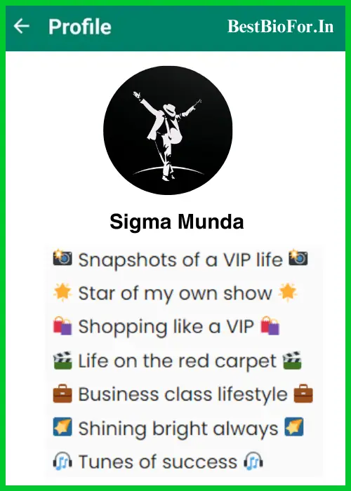 VIP Whatsapp Bio Attitude