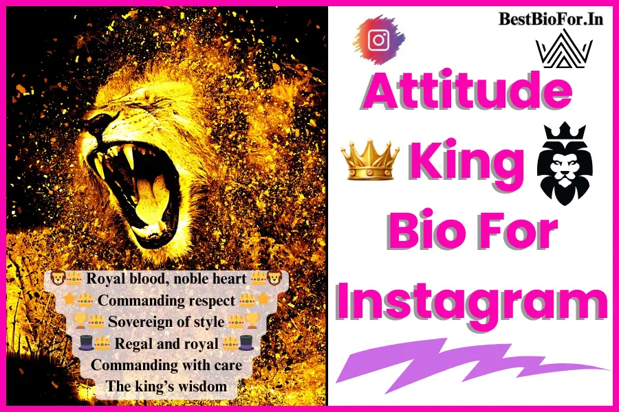 333+ Attitude King Bio For Instagram